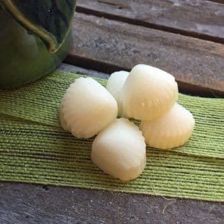 6 Coconut Island Wax Melts