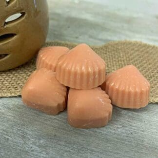 6 Thai Spice Wax Melts
